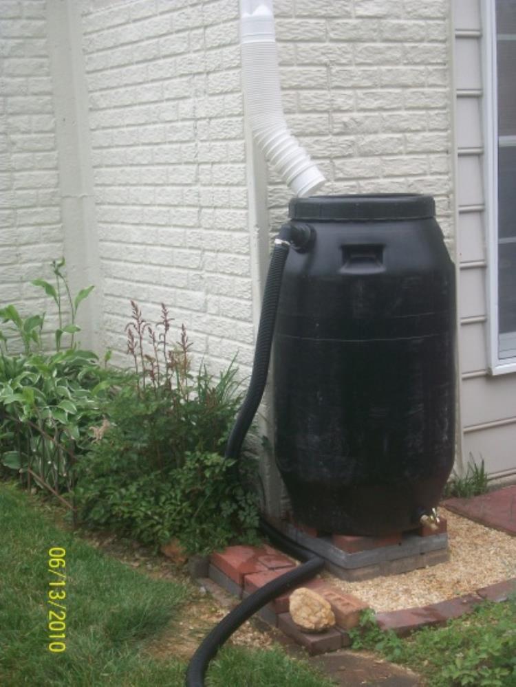 Rain Barrel, Single